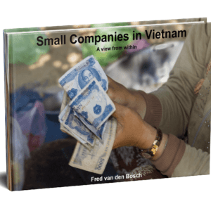 E-book Small Companies in Vietnam