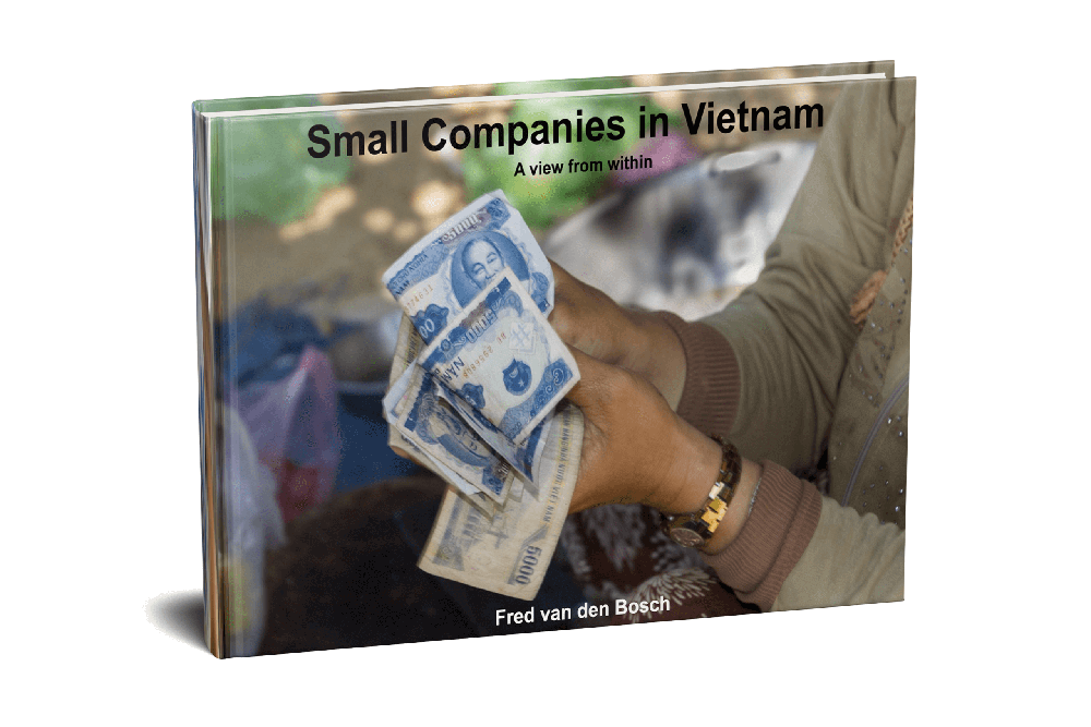 E-book Small Companies in Vietnam